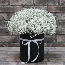 Цветочная композиция из Гипсофила в шляпной коробке в Нижней Салде